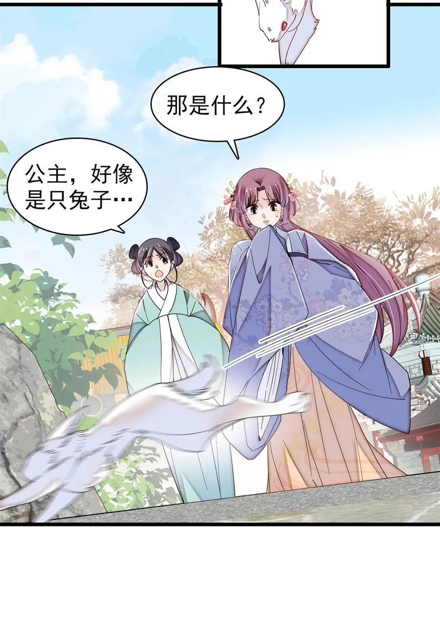 393 想要怎样的夫婿？35