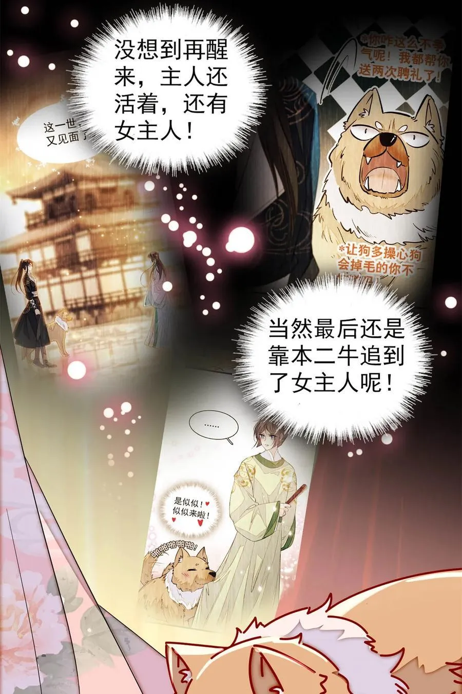 388 这一世我们都好好的33