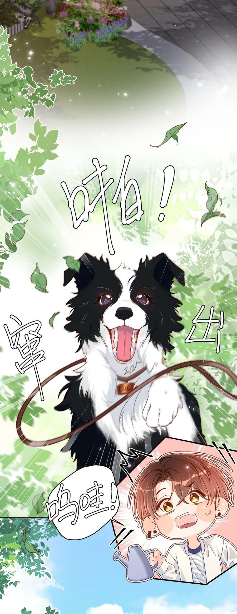 030 听哥哥安排29