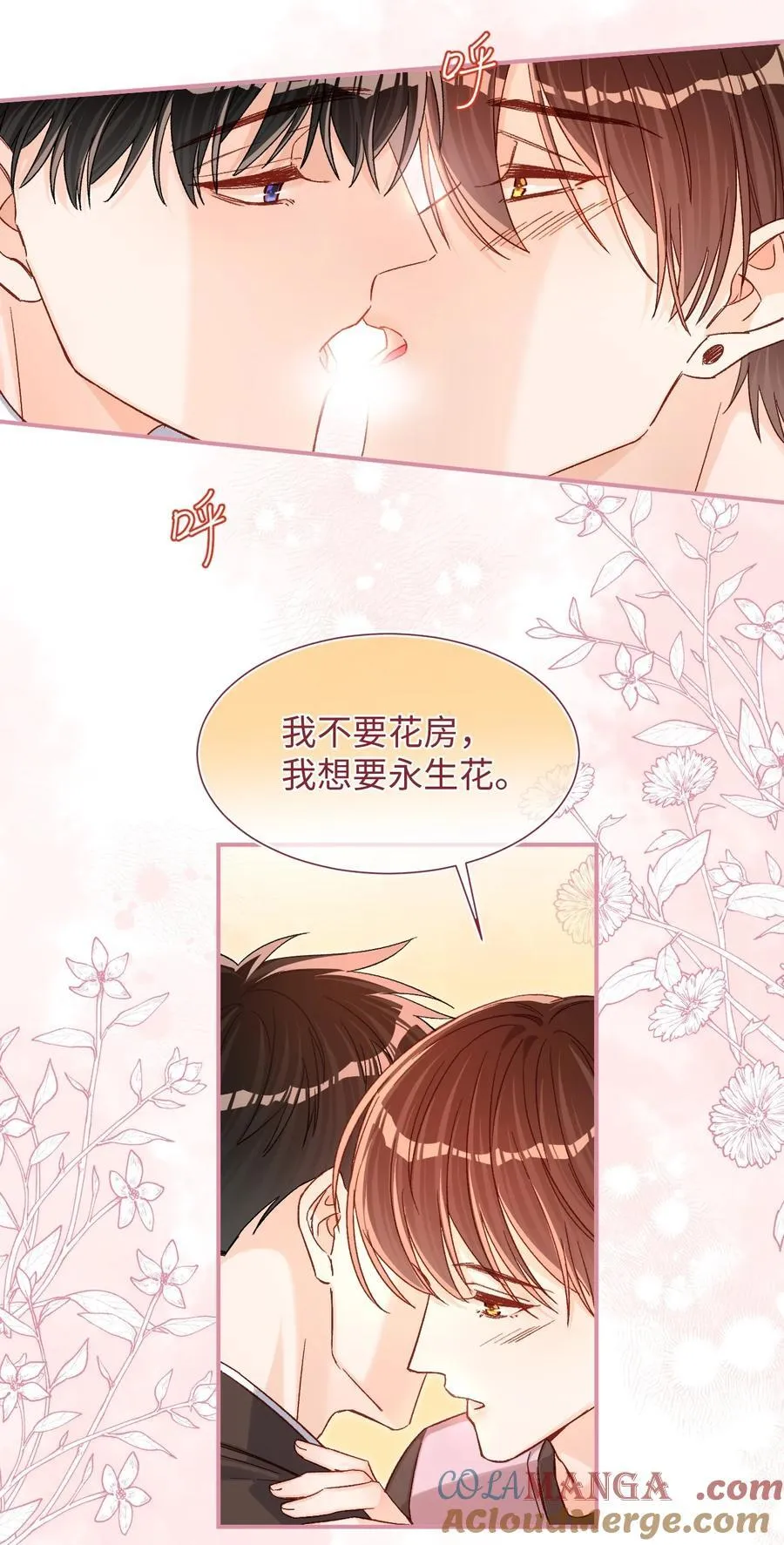 072 我想要永生花！8