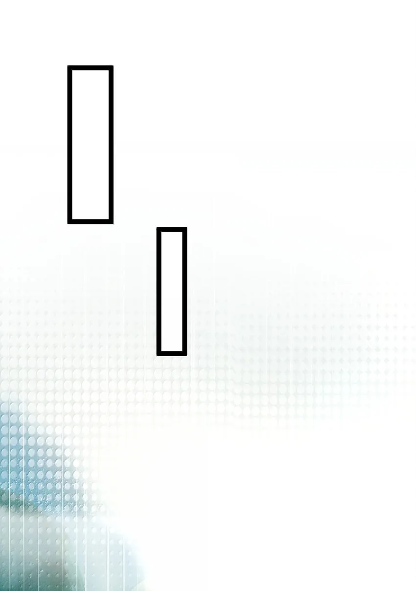 066 6619
