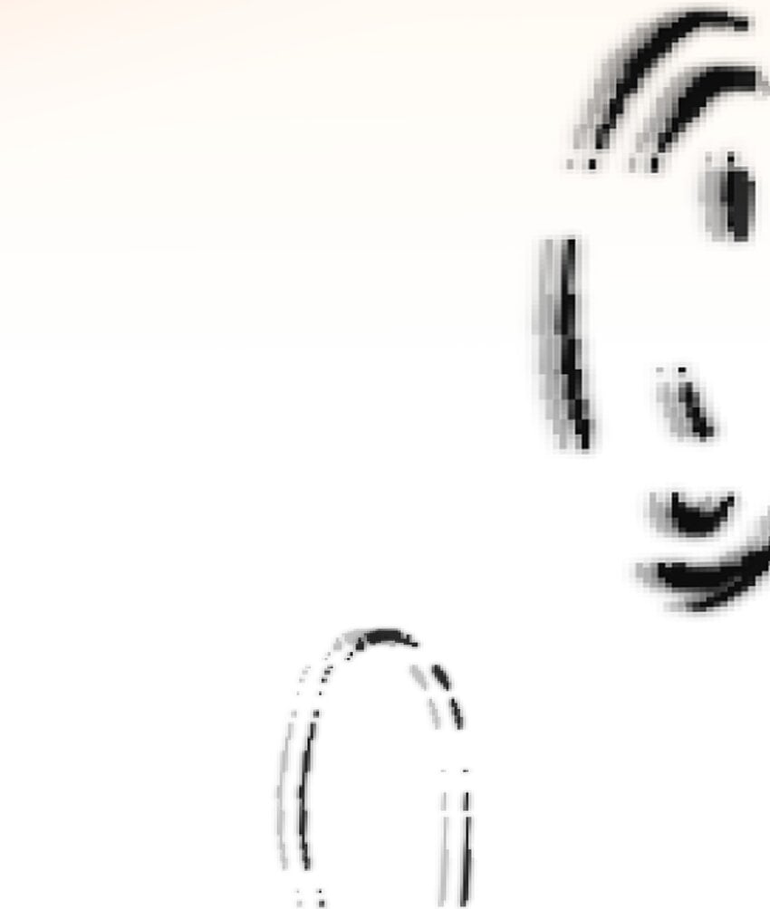 025 生分52