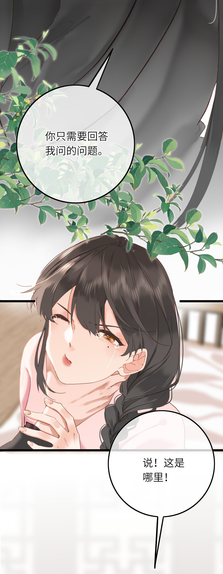 003 好哥哥，你不记得妹妹了吗？13