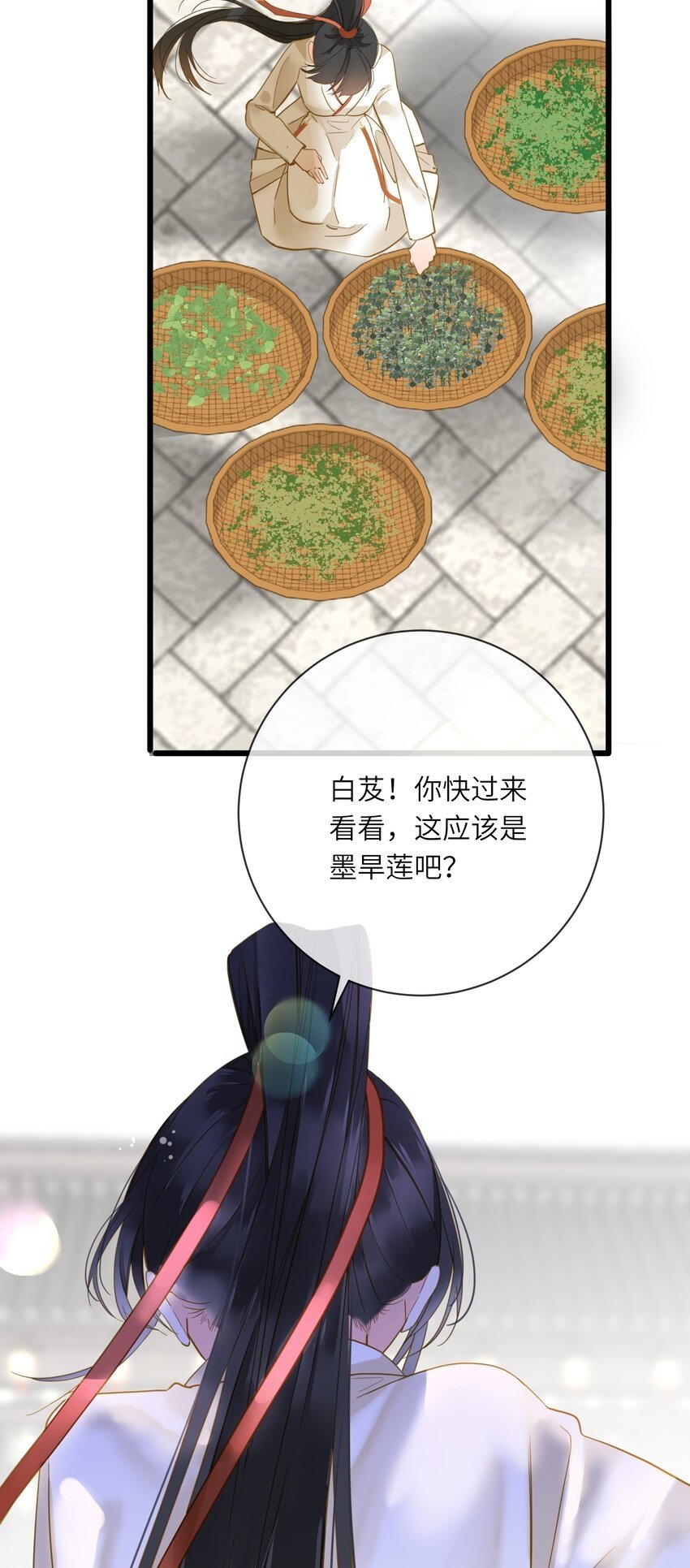 025 生分4
