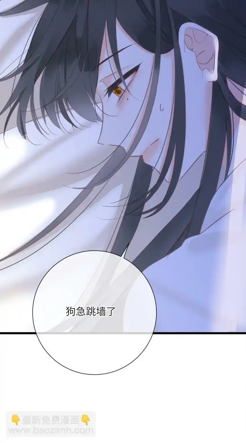 015 大型护犊子现场8