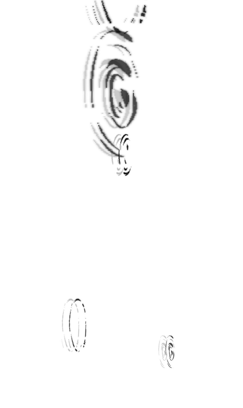 025 生分53