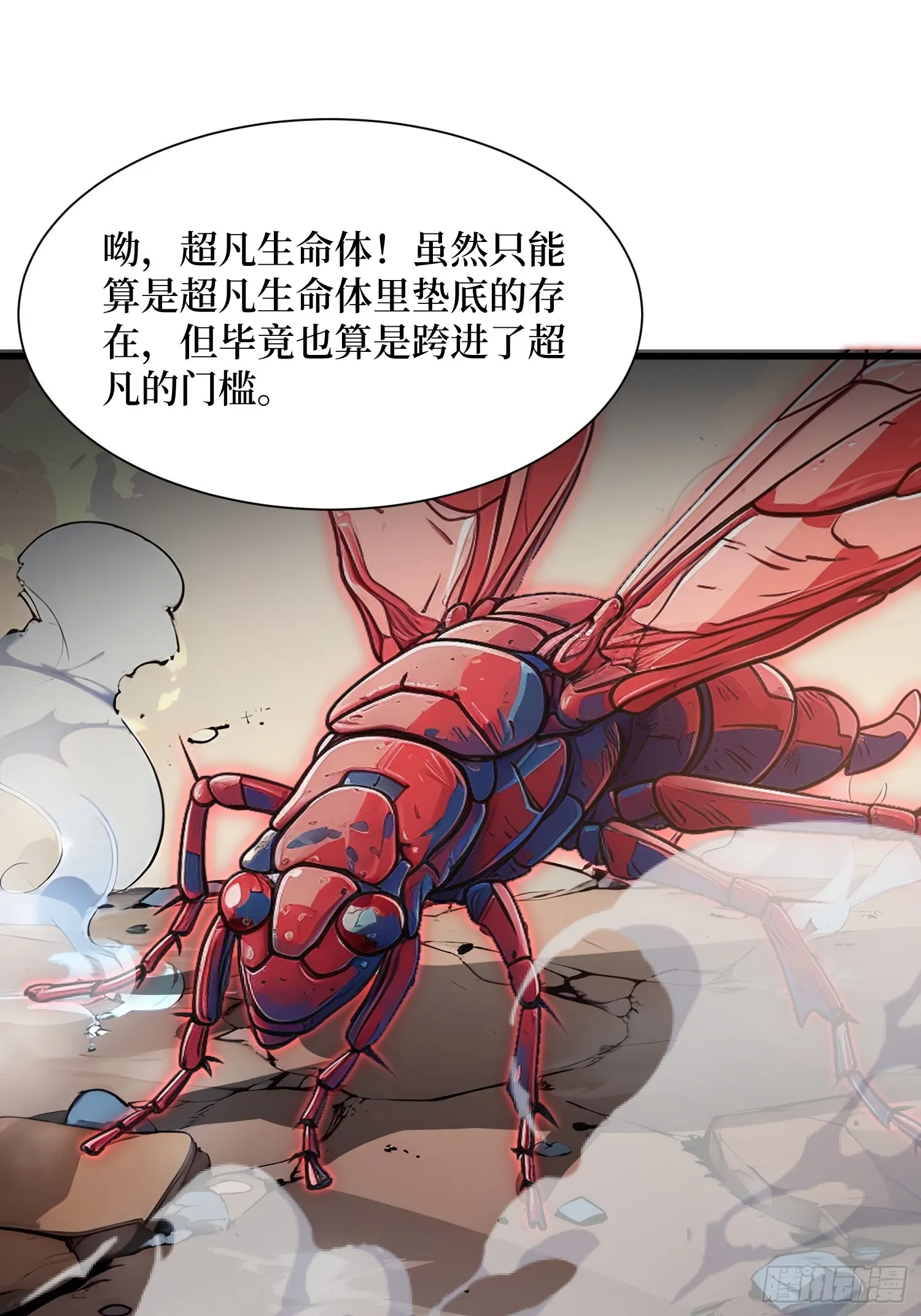 11 统考开始41