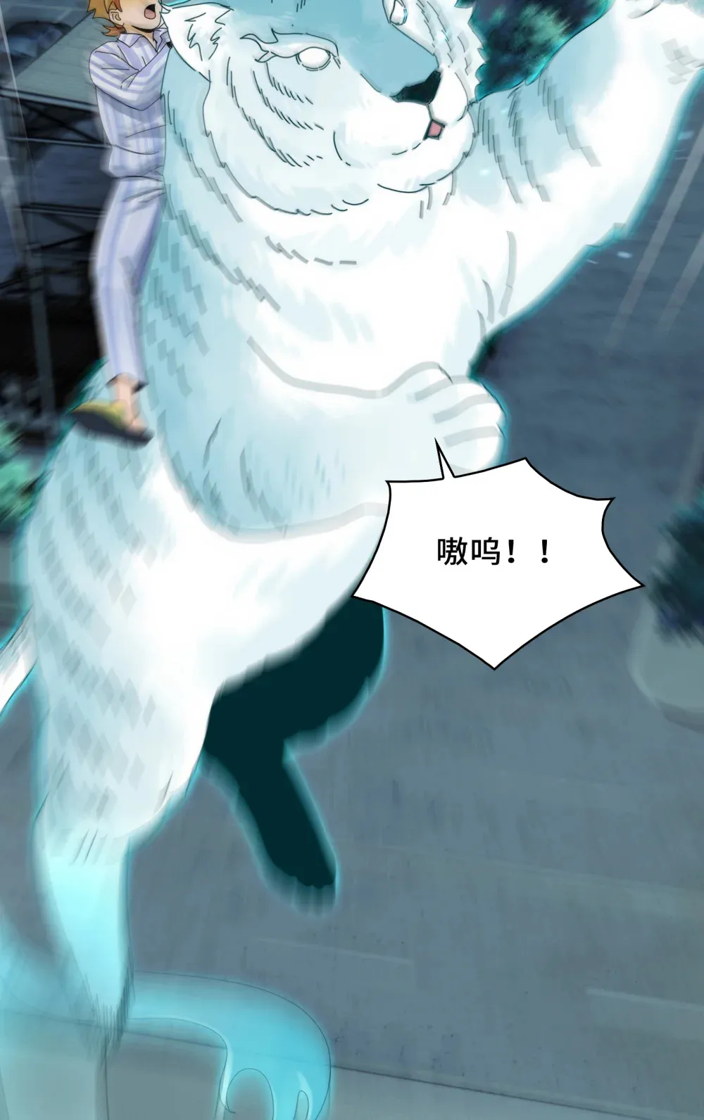 042- 伙伴46