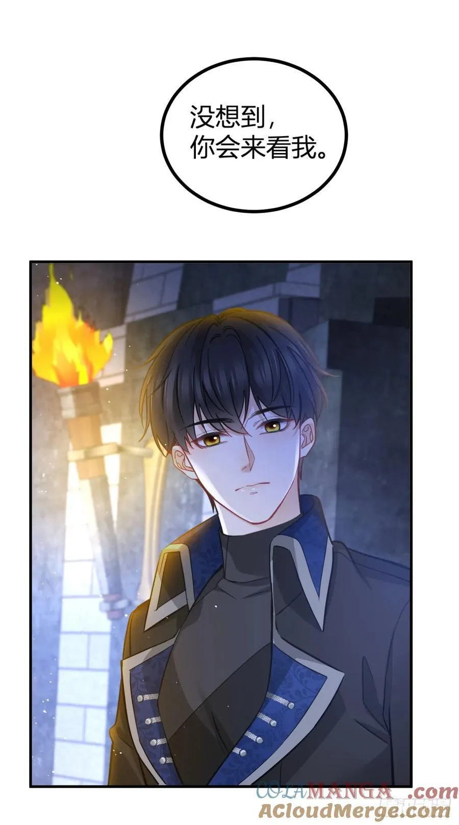 第77话 奈比的丈夫8