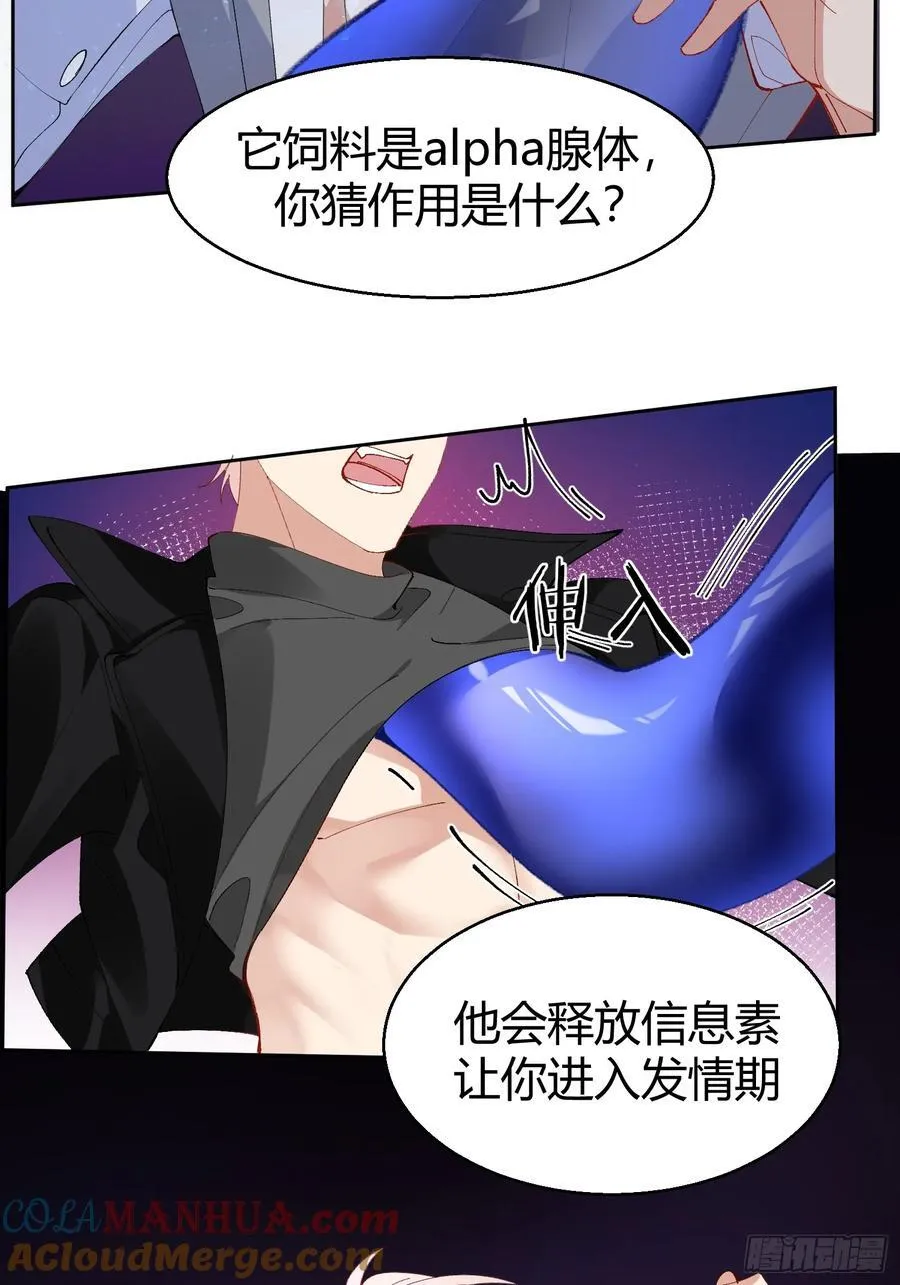 018-发情期12