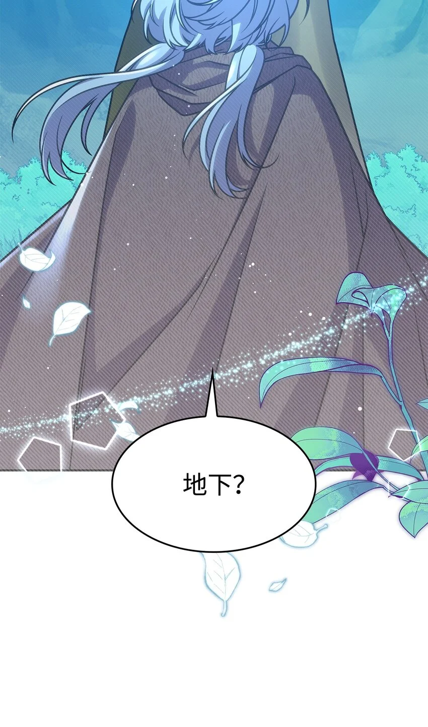 22 诺迪姆63