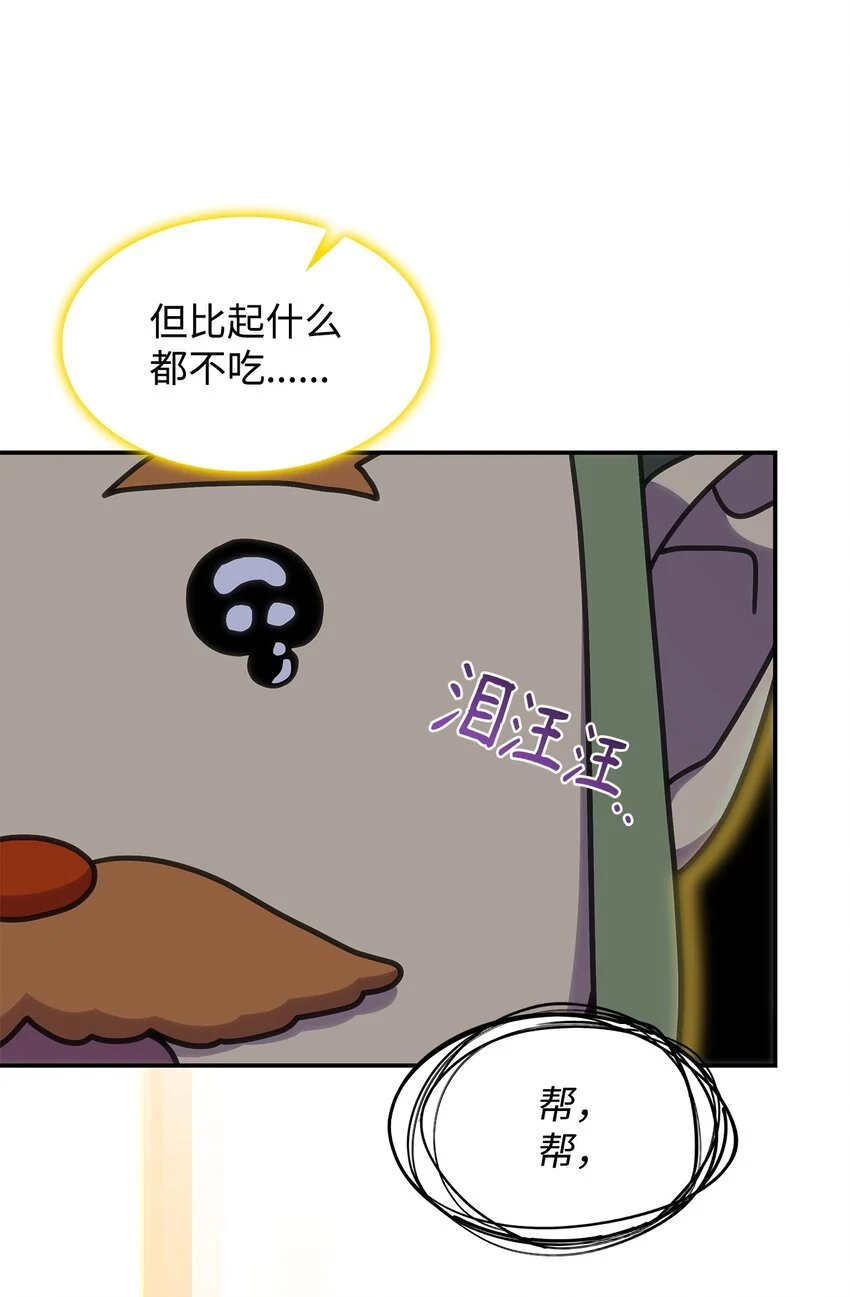 22 诺迪姆51