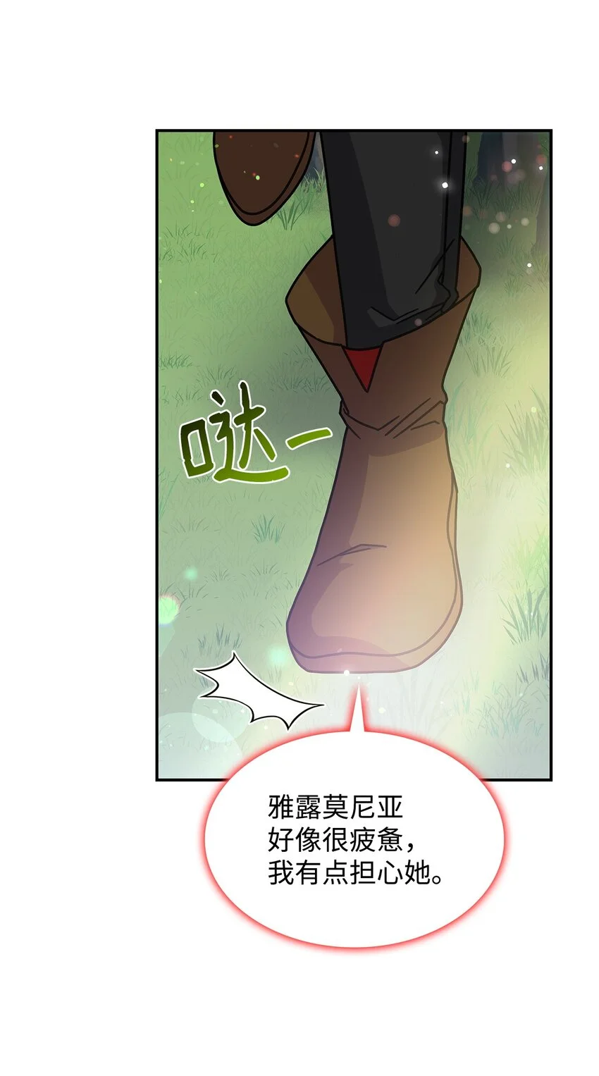 14 卡利斯65