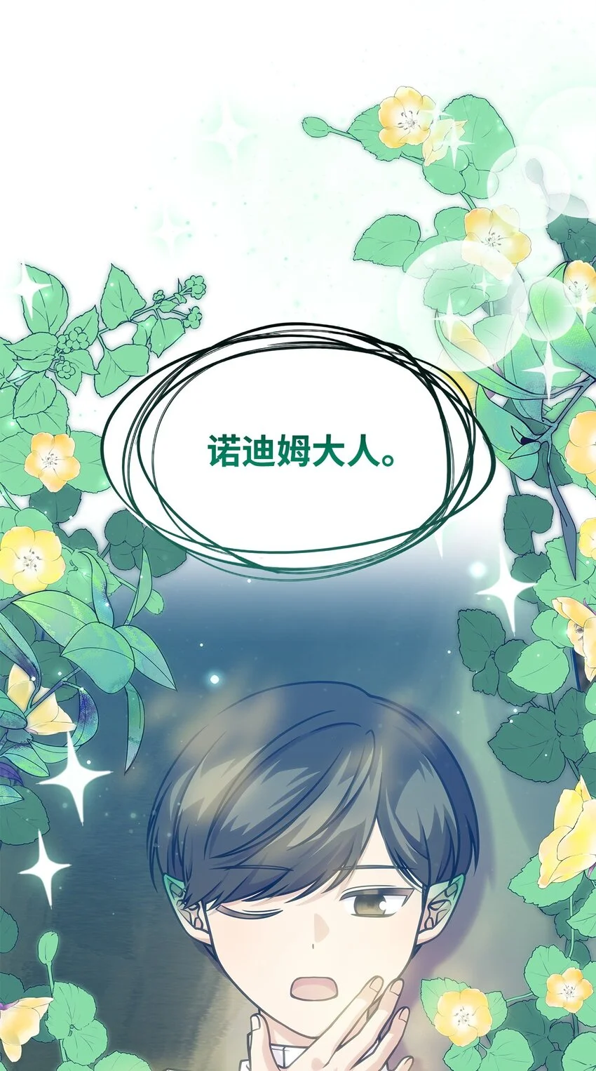22 诺迪姆66
