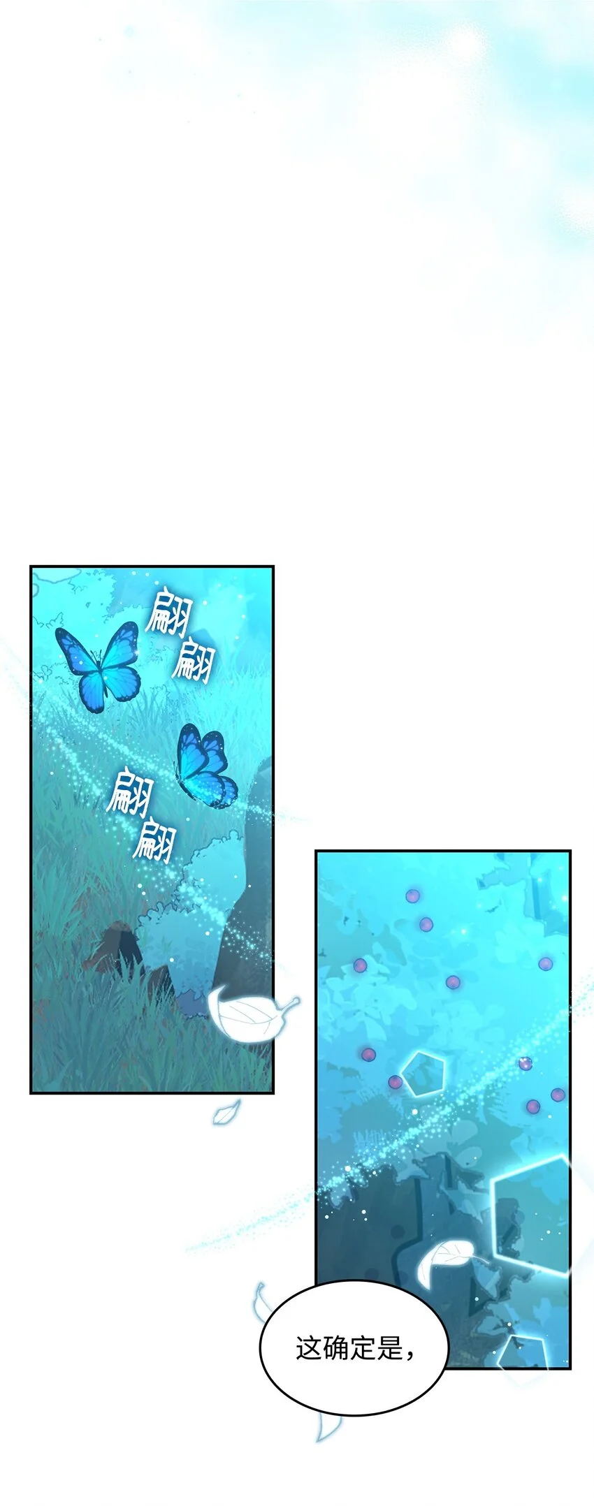 22 诺迪姆61