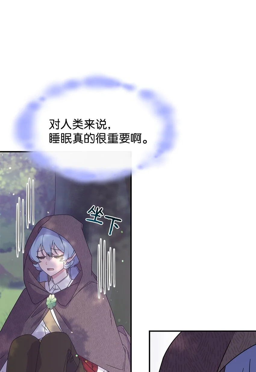 14 卡利斯52