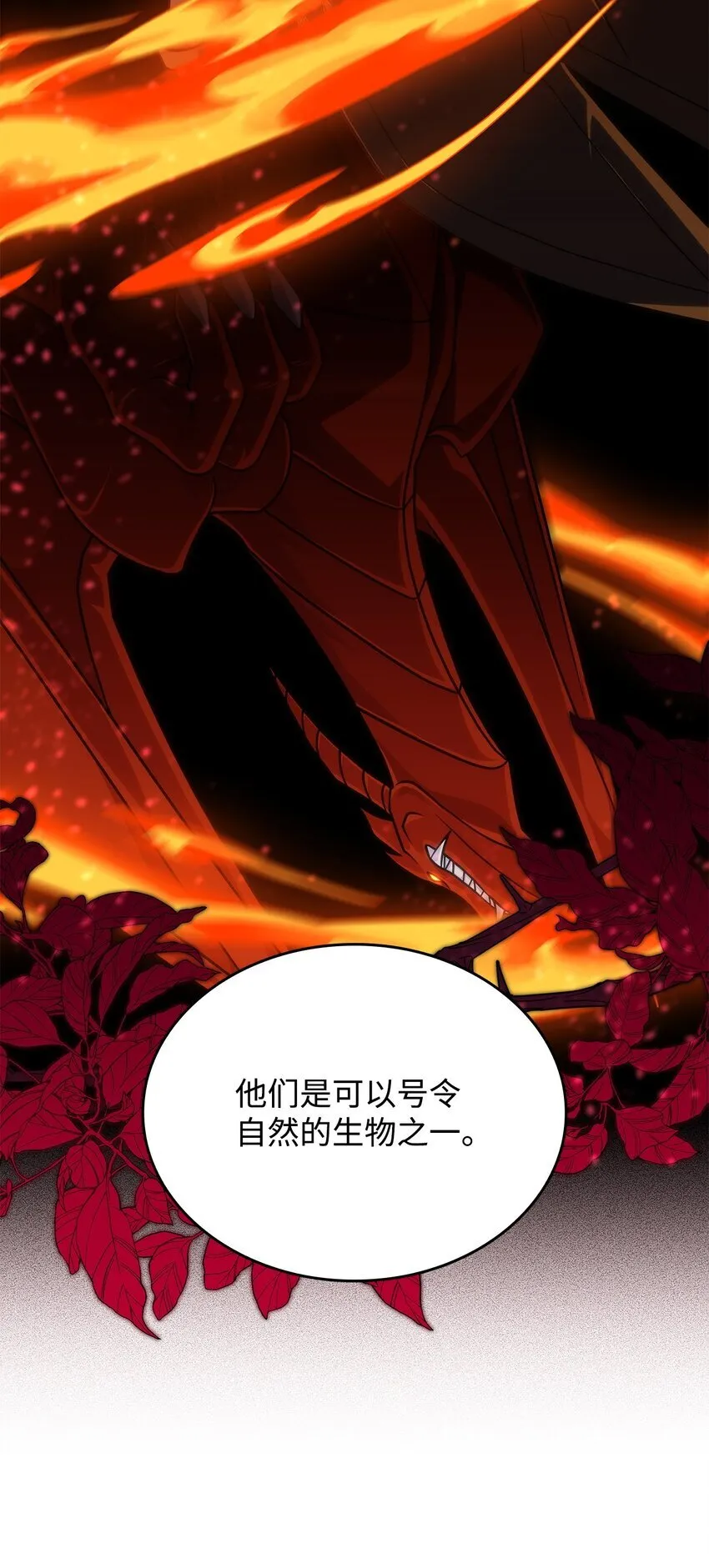 31 龙是存在的25
