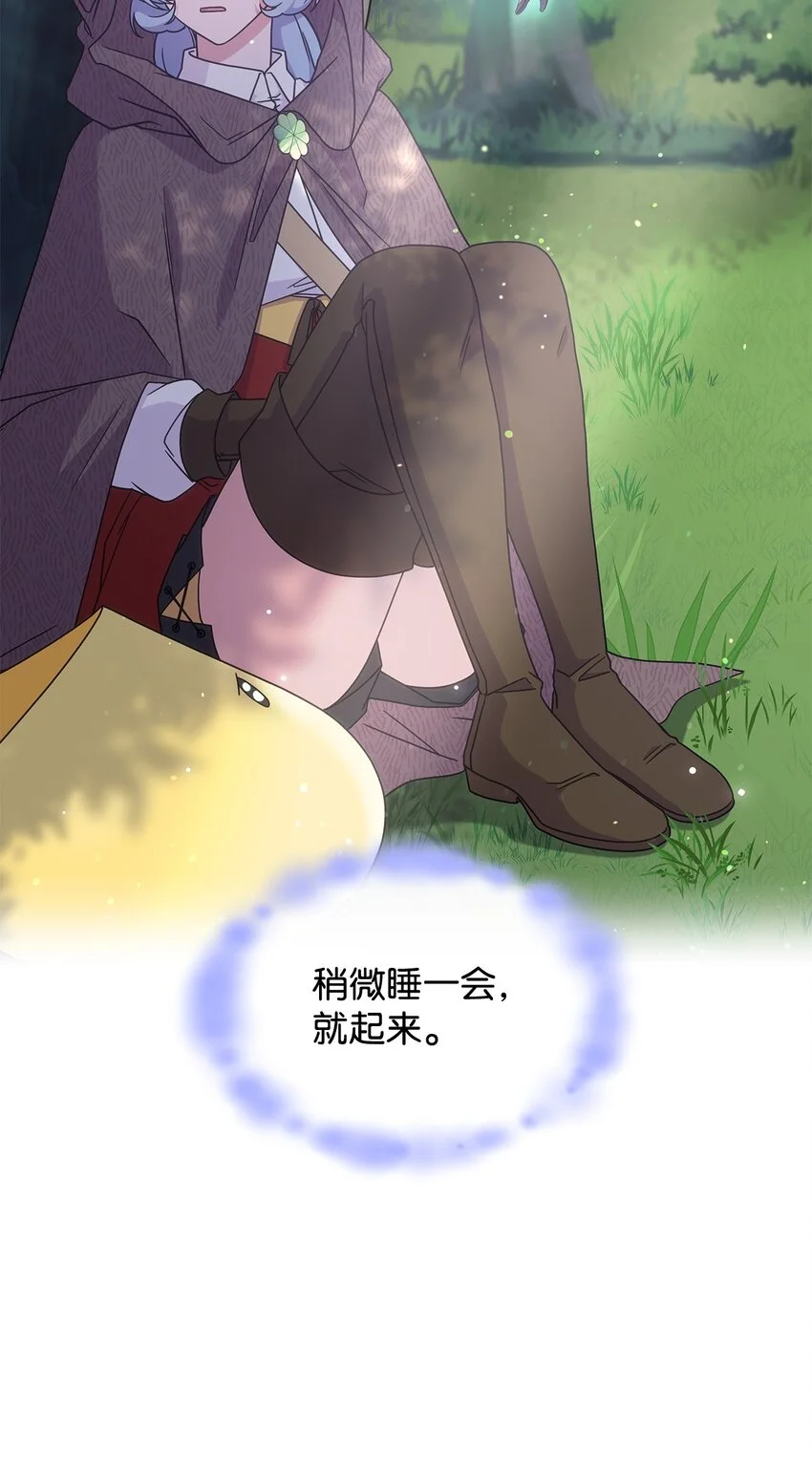 14 卡利斯55