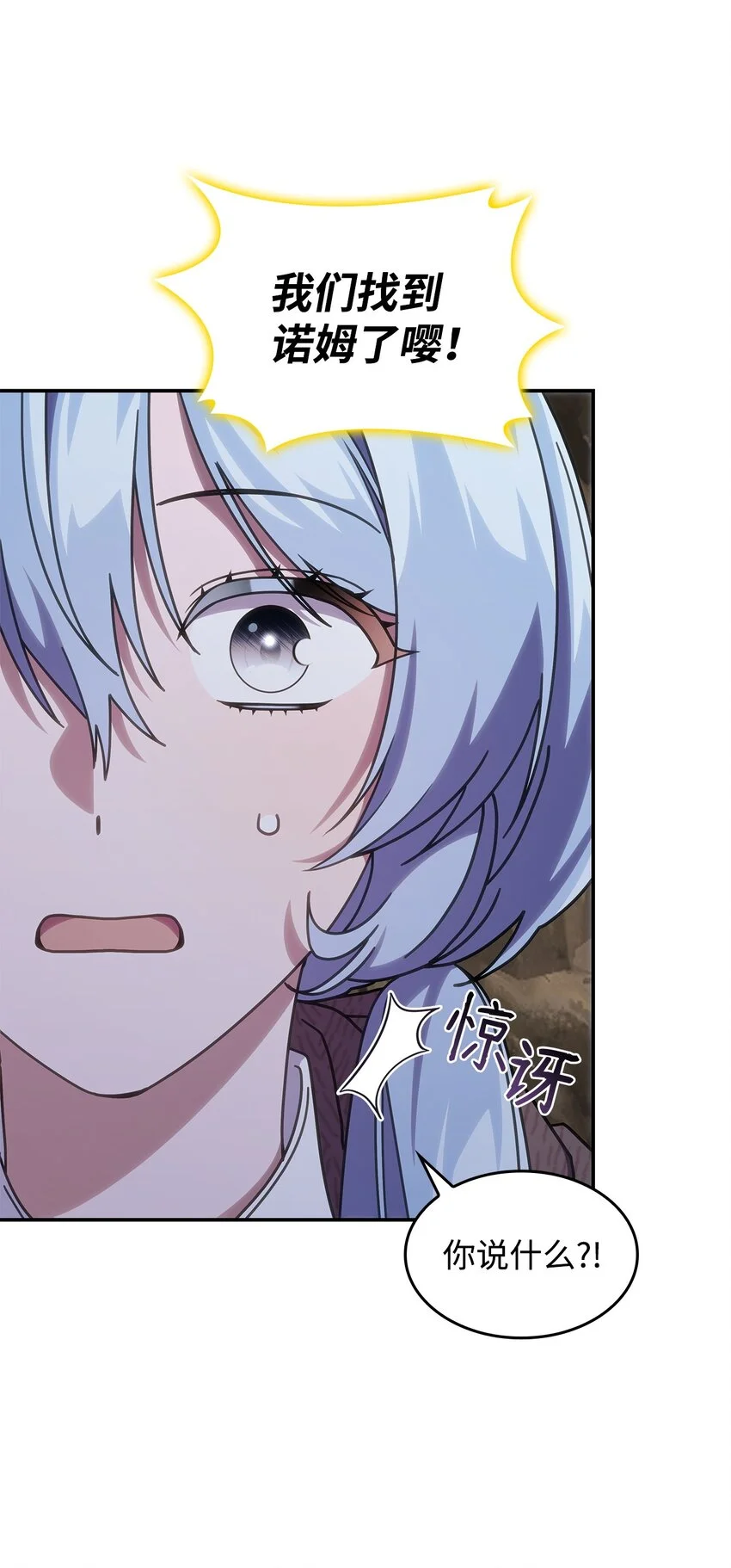 22 诺迪姆29