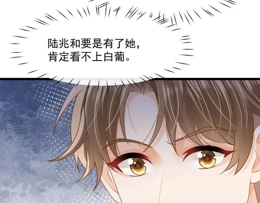 第48话陆兆和官宣了？31