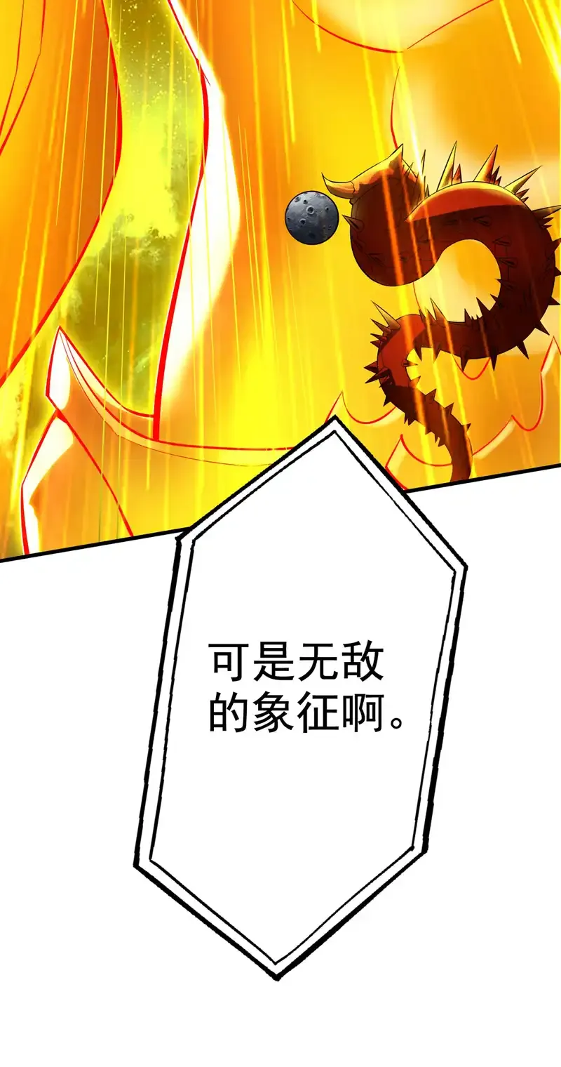 第70话 无敌的象征29