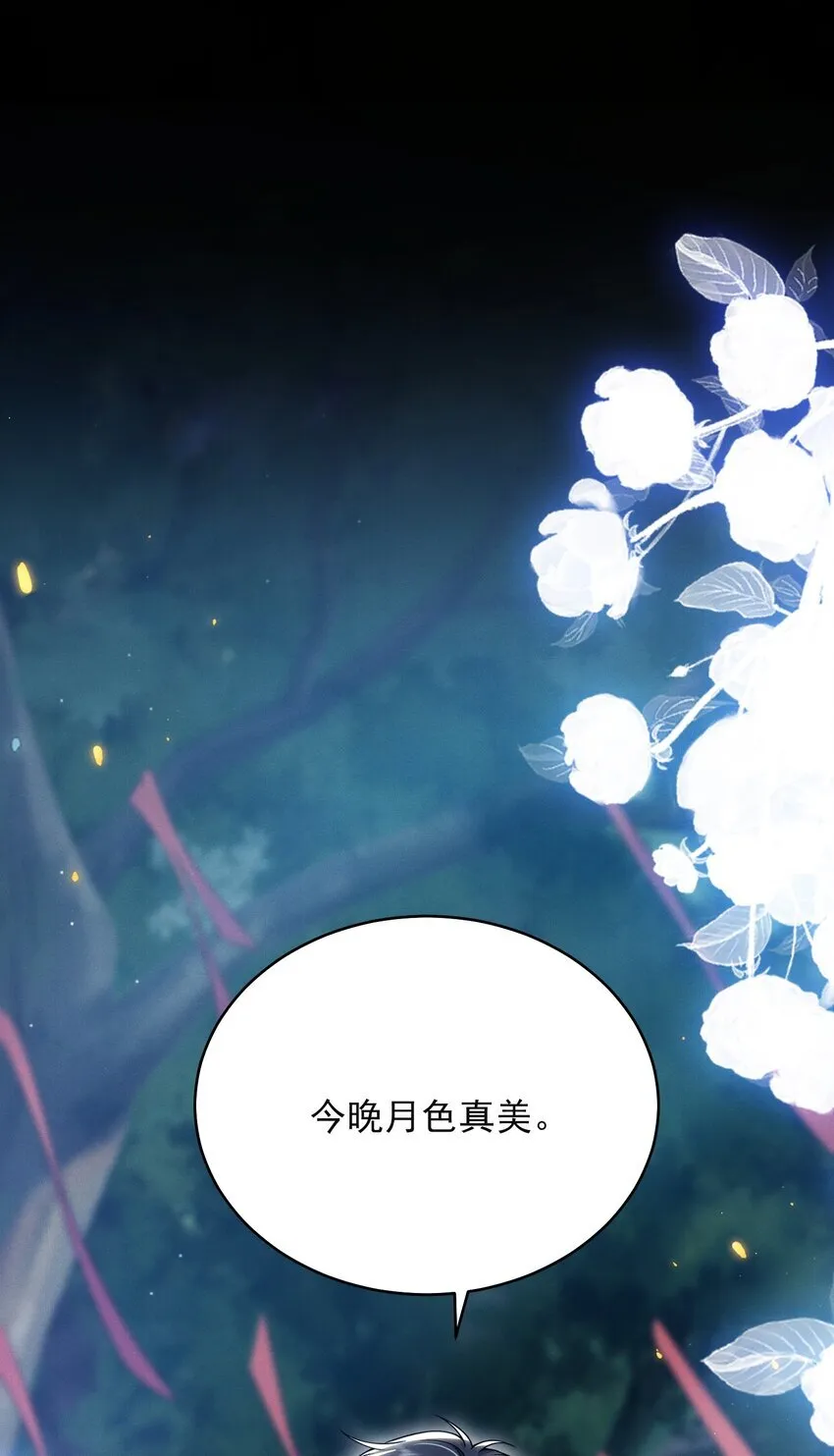 048 今晚月色真美！20