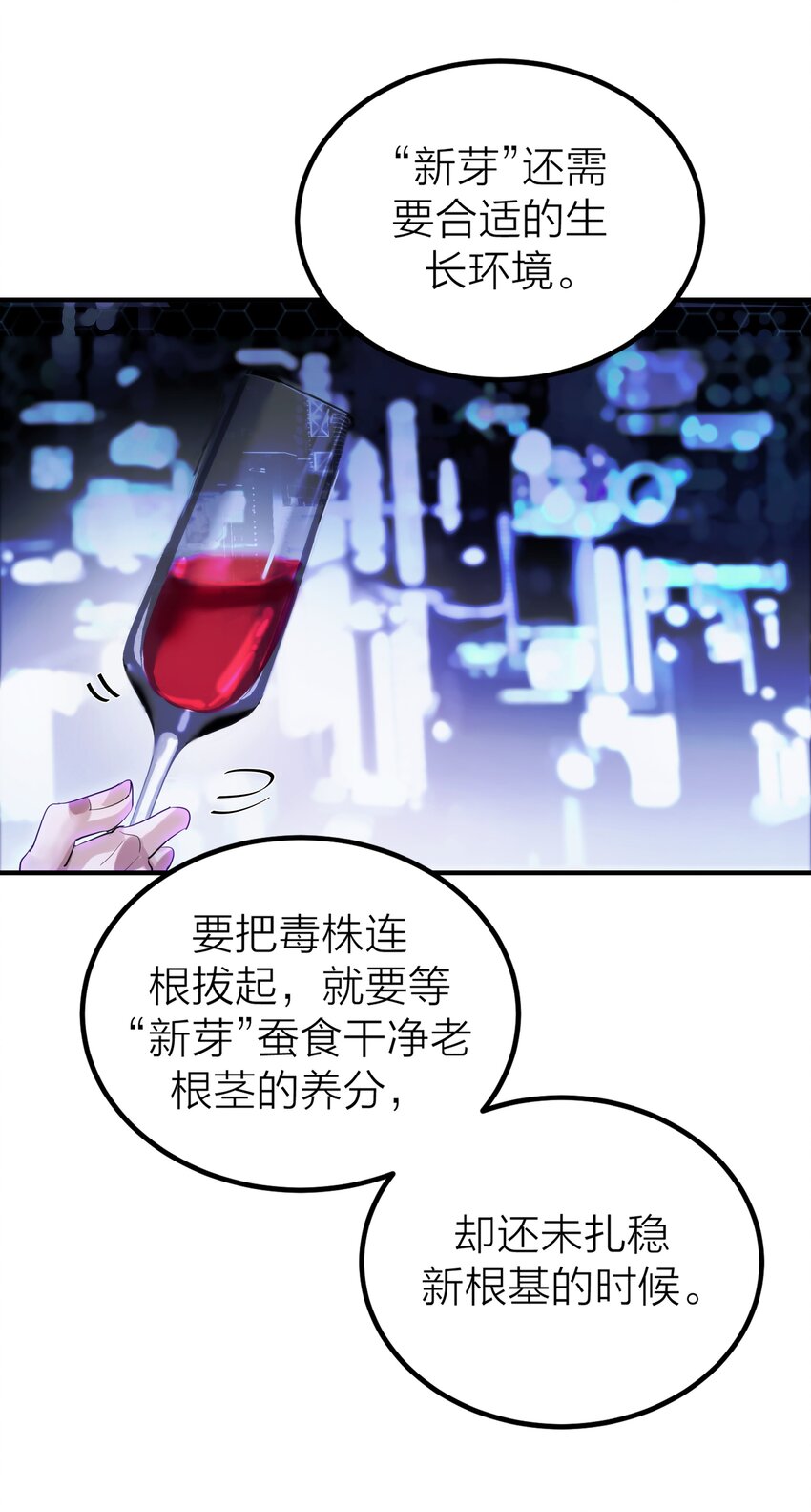 005 种子37