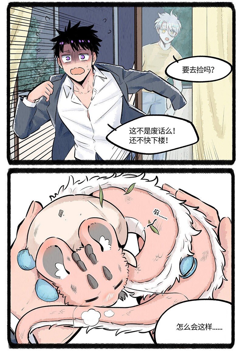 018 小羊与大宝16