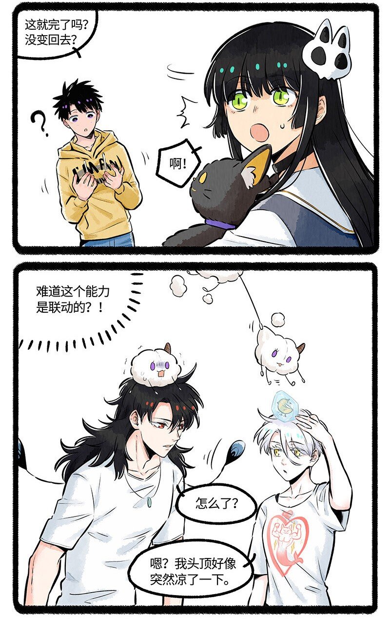 015 再见了羊毛坨15