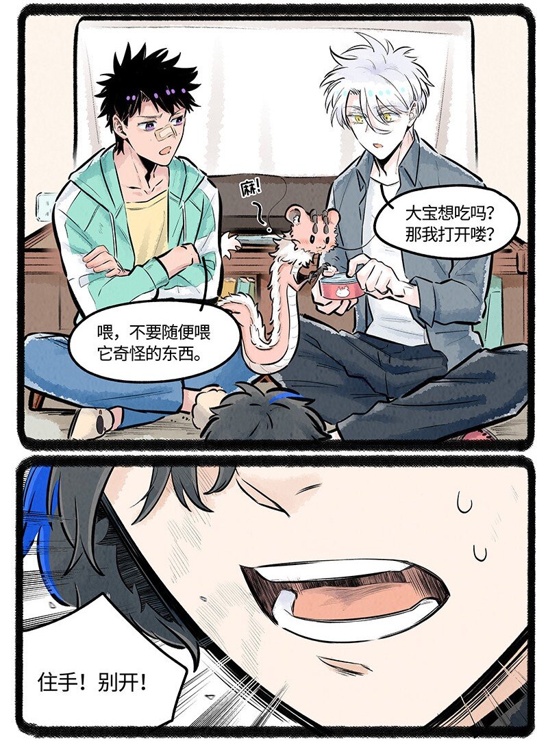 023 小羊有自信4