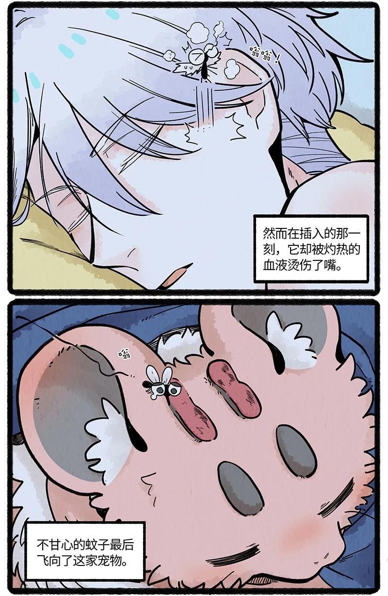 063 夏天的烦恼5