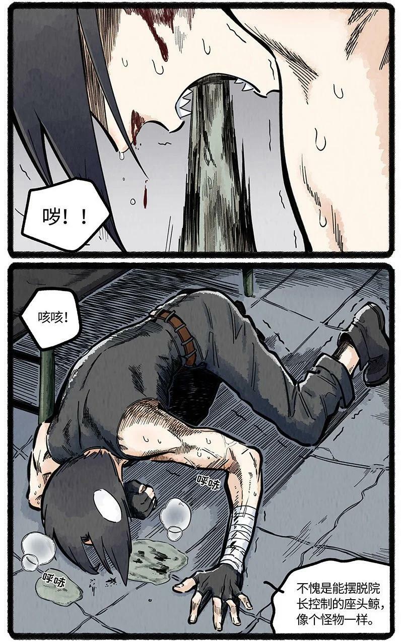 046 虎鲸遇座头鲸13