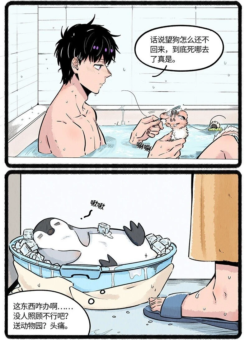 037 小羊来了2