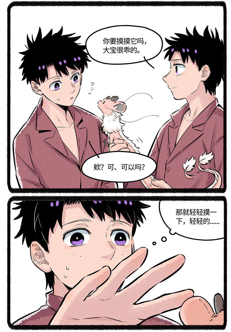 026 小羊裂开了14