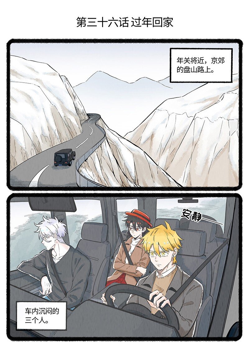 036 过年回家1