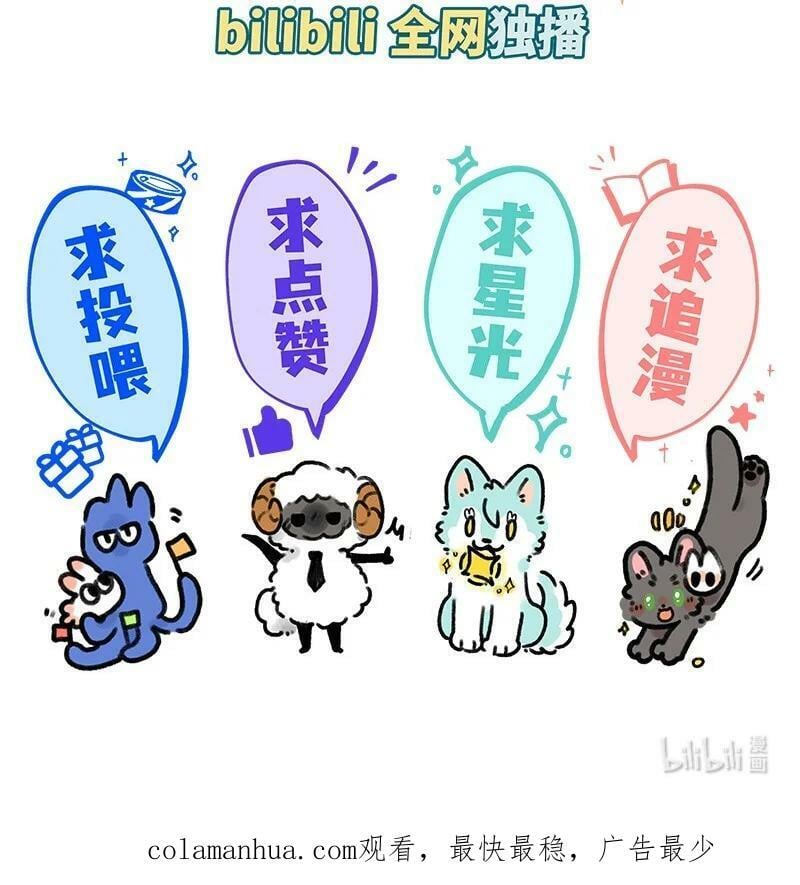 046 虎鲸遇座头鲸17