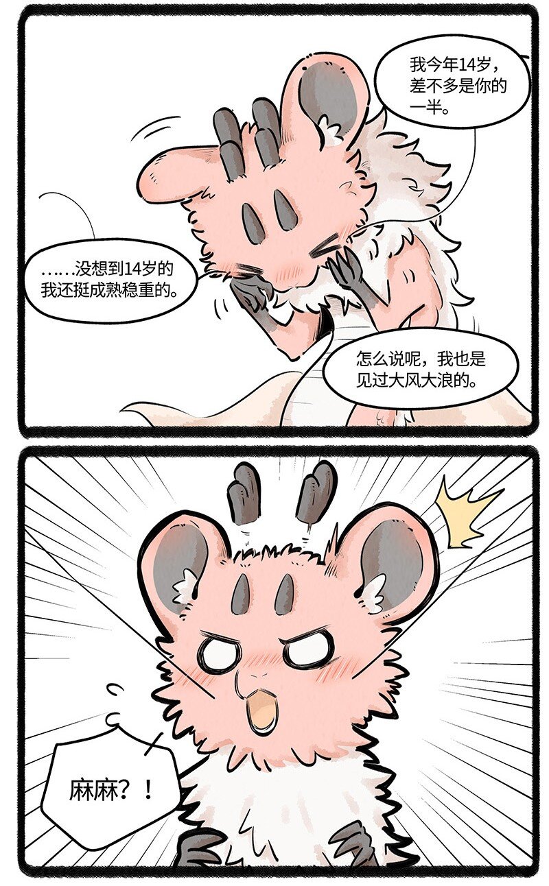 026 小羊裂开了12