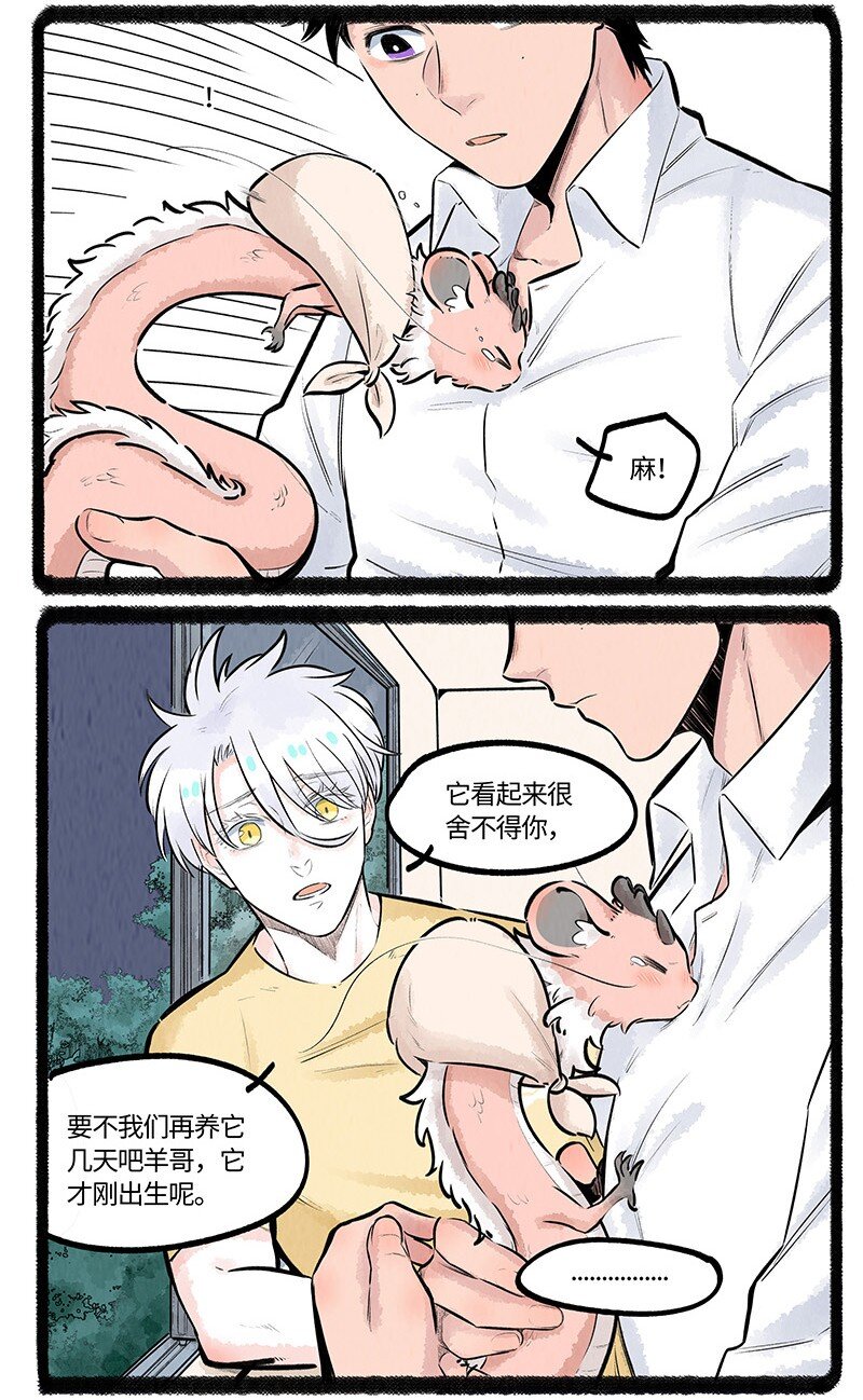 018 小羊与大宝11