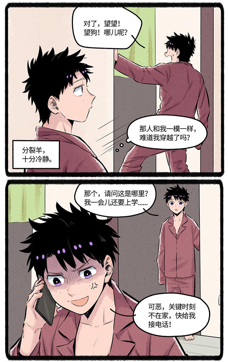 026 小羊裂开了5