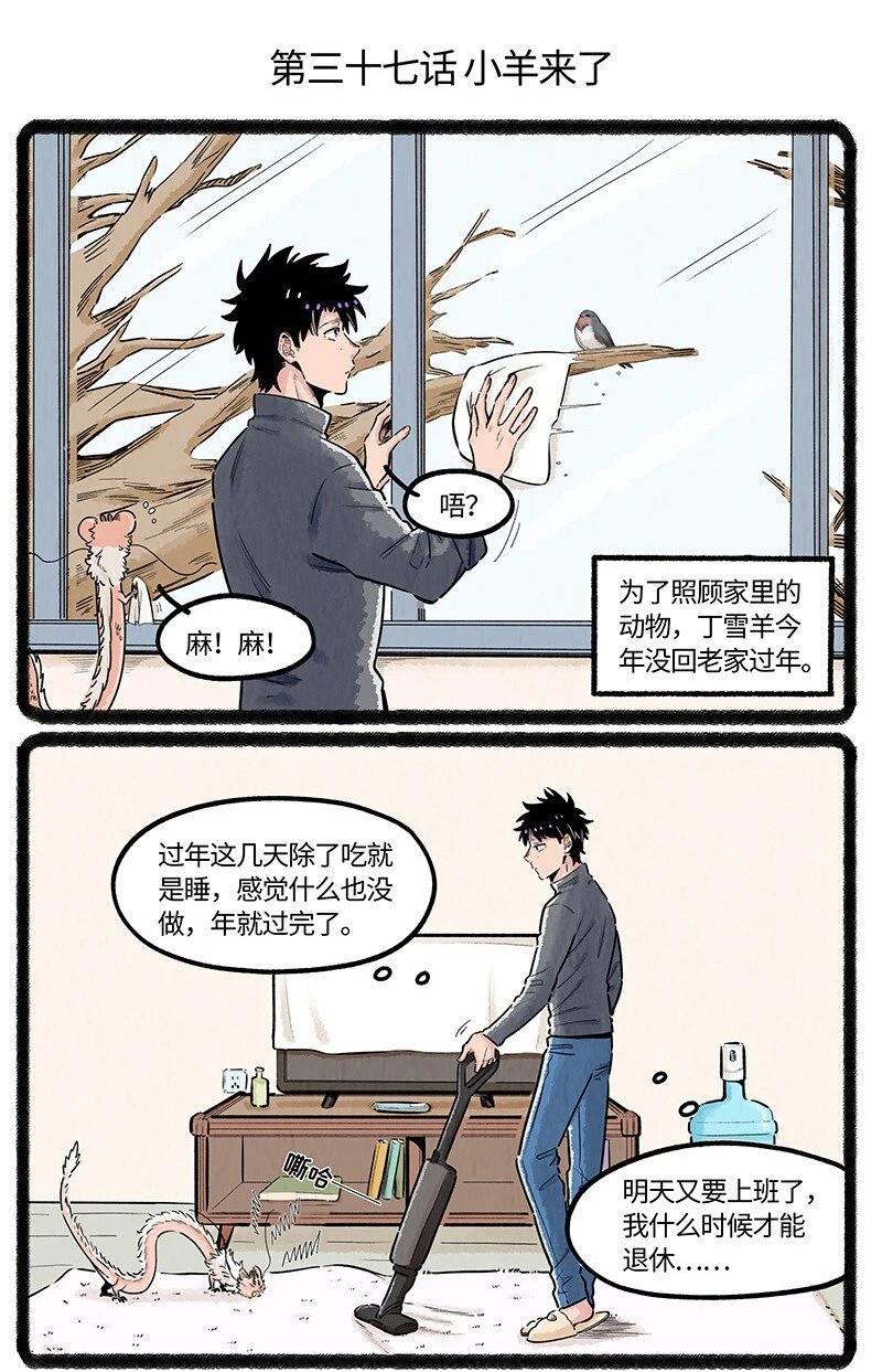 037 小羊来了1