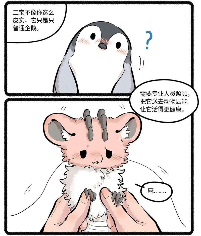 043 动物园奇妙夜3