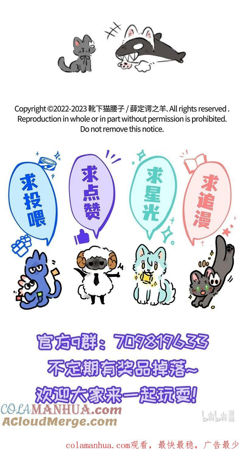 044 猫猫的思念20