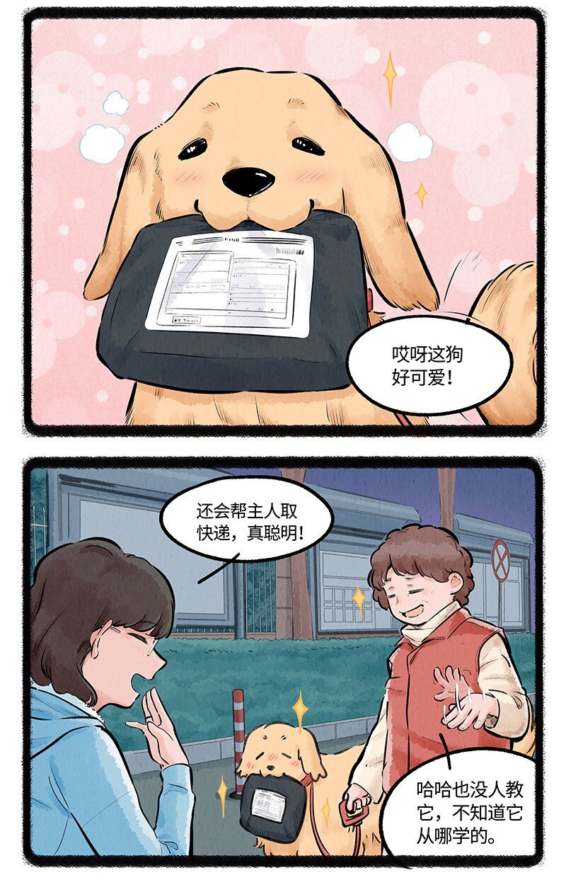 008 小羊和小狼8