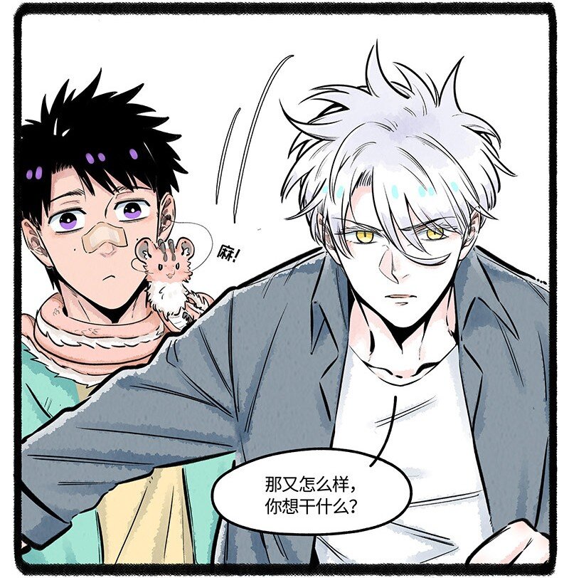024 体验派罐头14