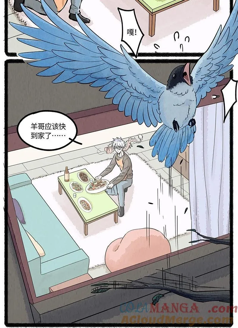 088 向往的生活16