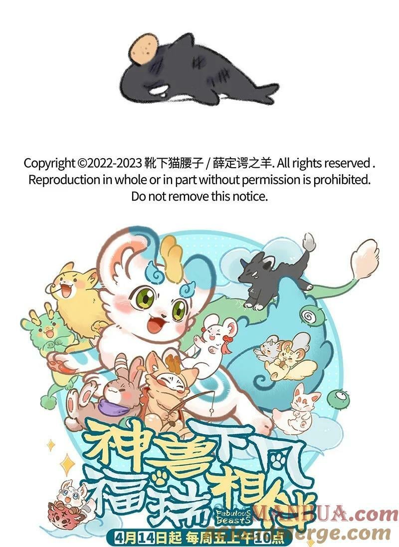 046 虎鲸遇座头鲸16