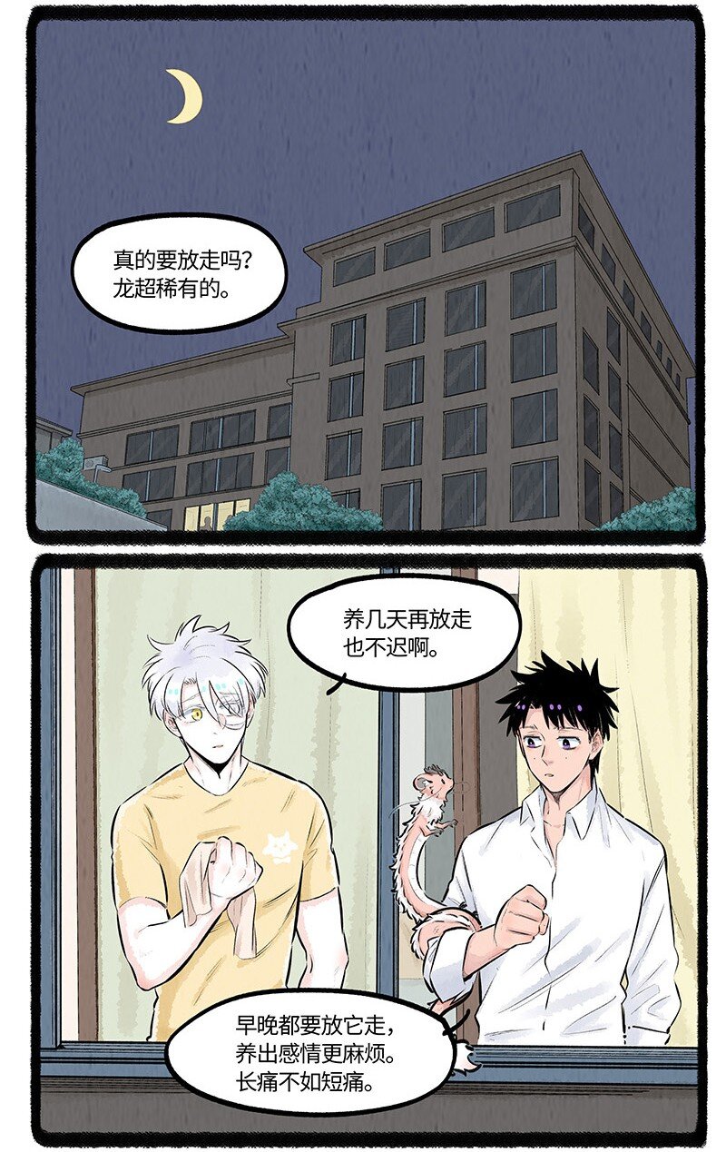 018 小羊与大宝8