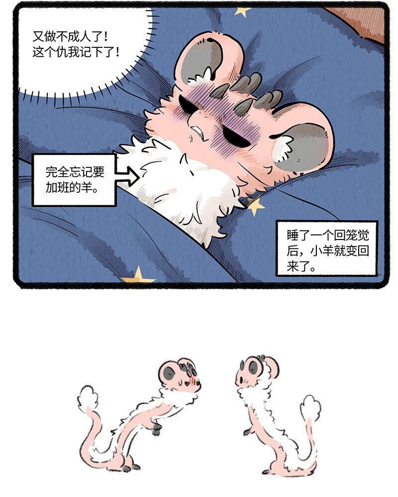 035 谁才是小羊16