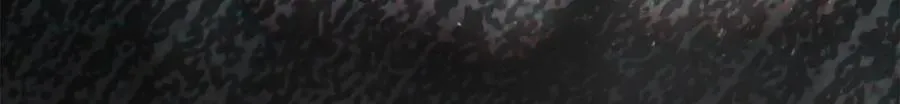 76 白初薇就是白楚68