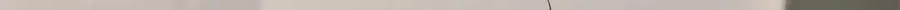 76 白初薇就是白楚138